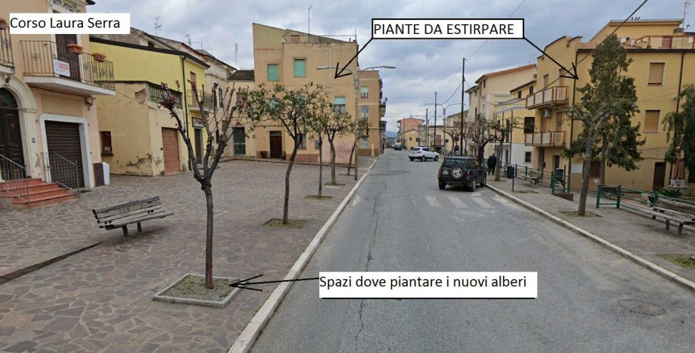 Al via la piantumazione di nuovi alberi